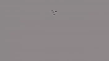 play Tânărul spiriduș este zdrobit de o iguană literală!!!!